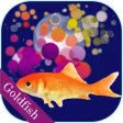 Scooping Goldfish