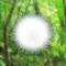 ケサランパサラン - 不思議な生き物を育成してみませんか?【癒し系育成ゲーム】