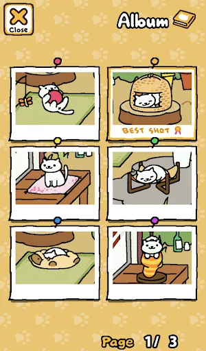 Capturas de tela do Neko Atsume: Kitty Collector