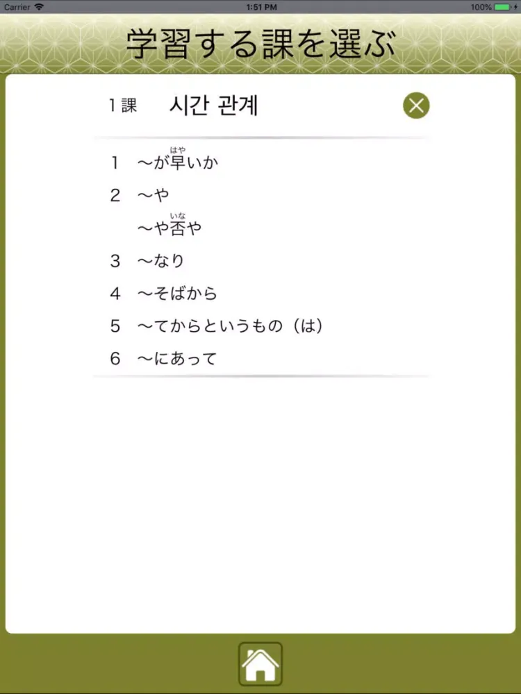 Captures d'écran de JLPT N1 문법 Lite iPad 