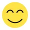 SmileCamera - Shooting a smile