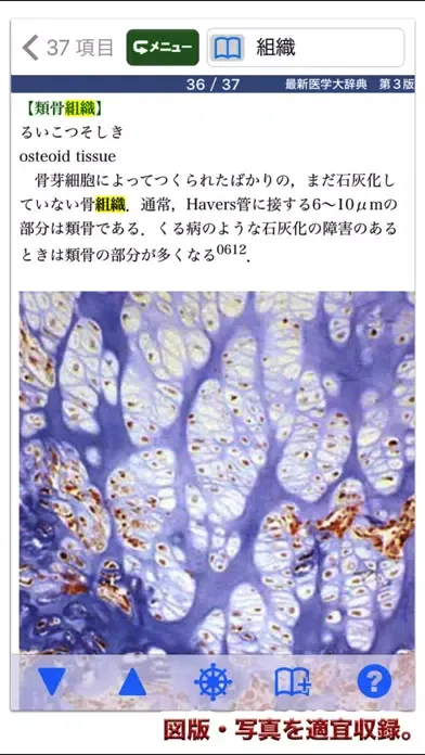 Zrzuty ekranu 最新医学大辞典第3版【医歯薬出版】(ONESWING)