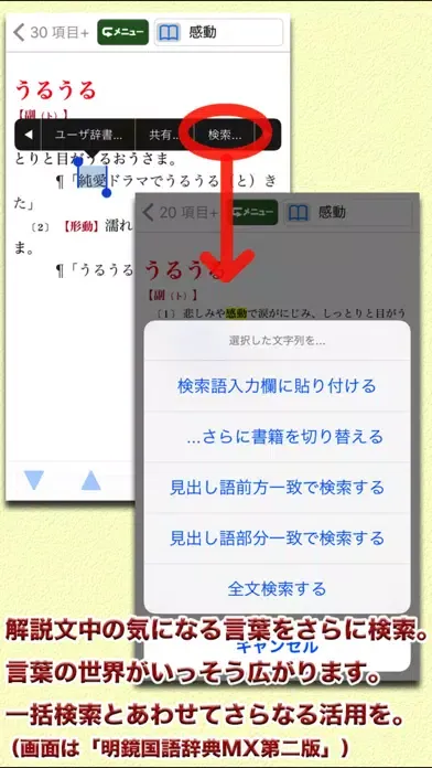 明鏡MX第二版・新漢語林MX【大修館書店】 Screenshots