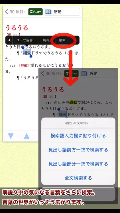 Screenshot di 明鏡国語辞典MX第二版【大修館書店】(ONESWING)