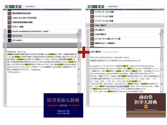 تصاویر 南山堂医学大辞典 第20版・医学英和大辞典 第12版 iPad 