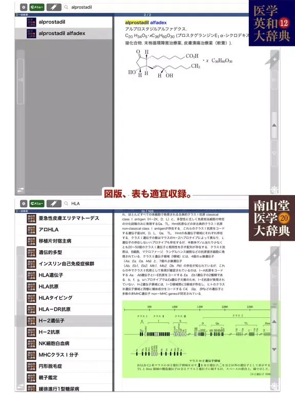تصاویر 南山堂医学大辞典 第20版・医学英和大辞典 第12版 iPad 