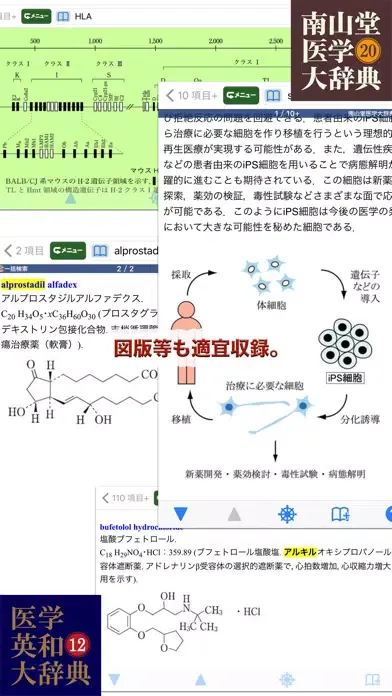تصاویر 南山堂医学大辞典 第20版・医学英和大辞典 第12版