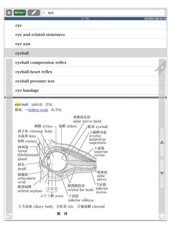 医学英和大辞典 第12版【南山堂】(ONESWING) iPad  Screenshots