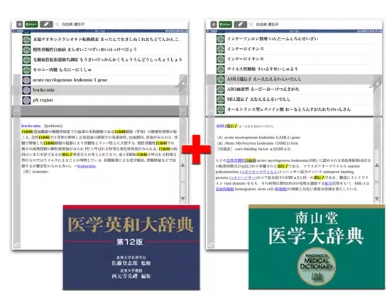 南山堂医学大辞典 第19版・医学英和大辞典 第12版 iPad 应用截图