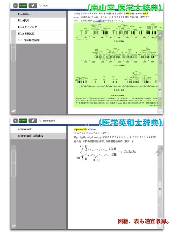 南山堂医学大辞典 第19版・医学英和大辞典 第12版 iPad 应用截图