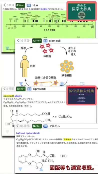 南山堂医学大辞典 第19版・医学英和大辞典 第12版应用截图