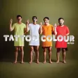 SudJing / TATTOO COLOUR