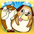 Dog or Cat - Kids Education Series- Dog or Cat - Kids Education Series-