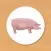 Animal Card Matching