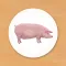 Animal Card Matching
