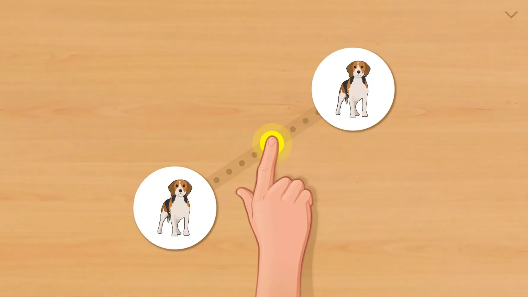 تصاویر Animal Card Matching