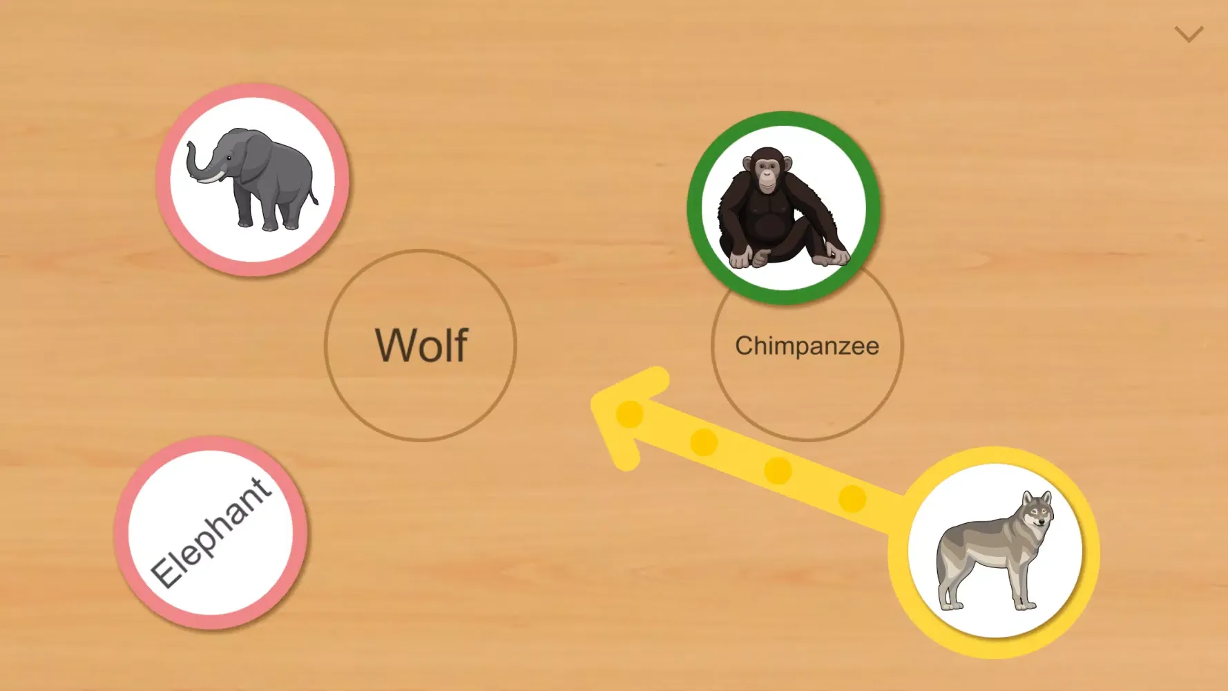 تصاویر Animal Card Matching