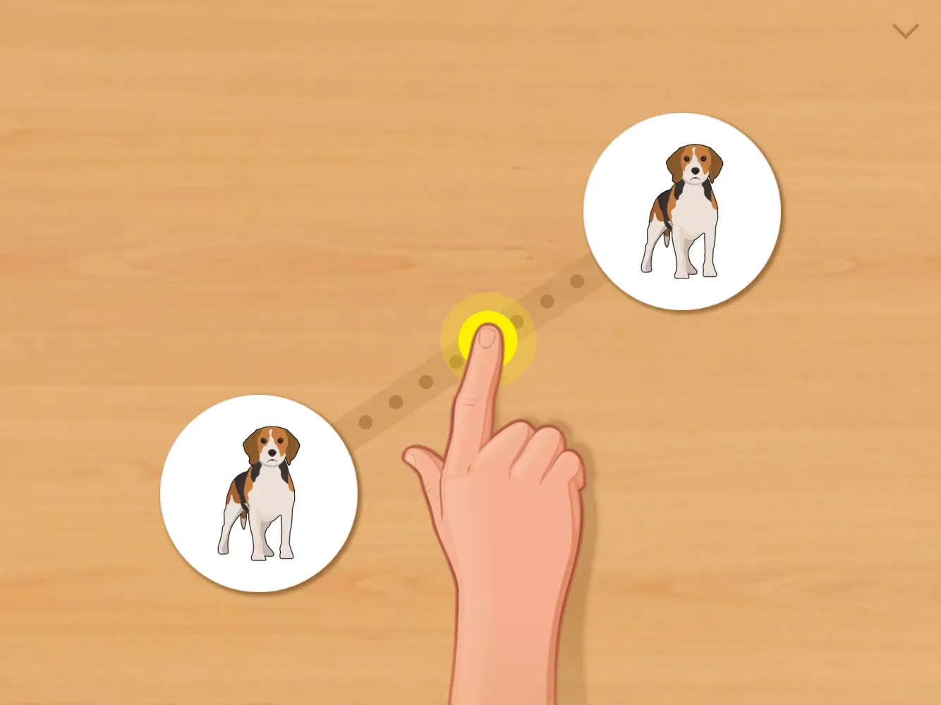 تصاویر Animal Card Matching