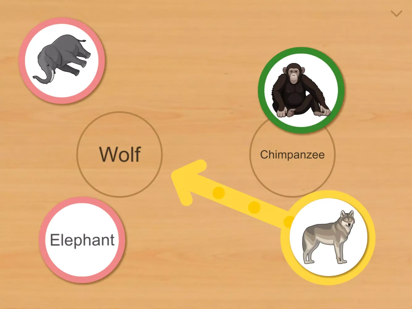 تصاویر Animal Card Matching