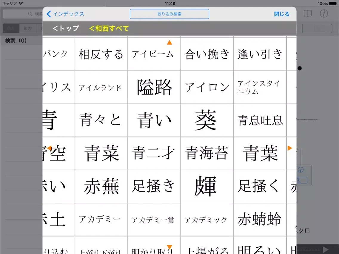 Скриншоты 現代スペイン語辞典・和西辞典 改訂版 iPad 
