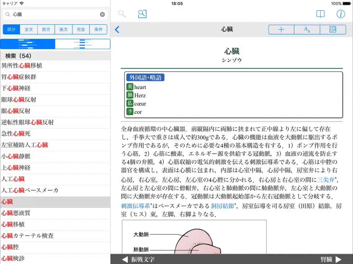 Screenshot di 南山堂医学大辞典第20版 iPad 