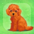 My Dog Life -Toy Poodle Edition-