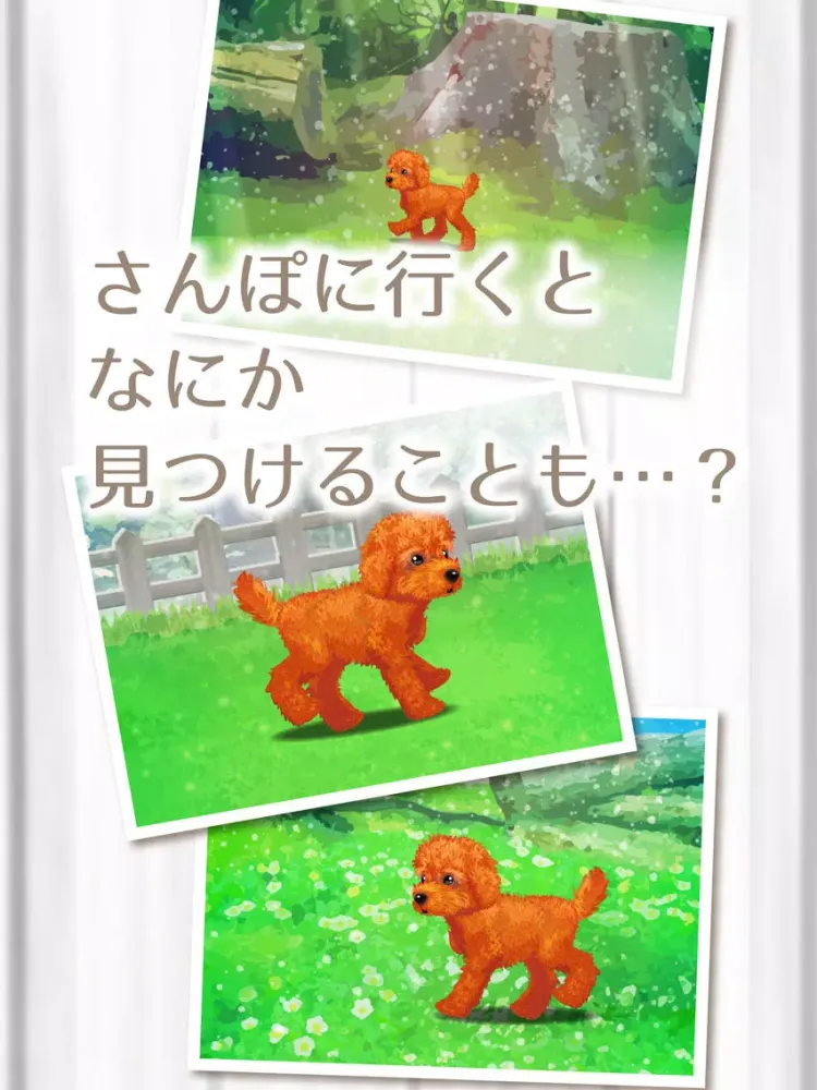My Dog Life -Toy Poodle Edition- iPad  Screenshots