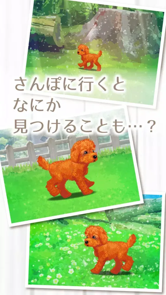 My Dog Life -Toy Poodle Edition- Screenshots