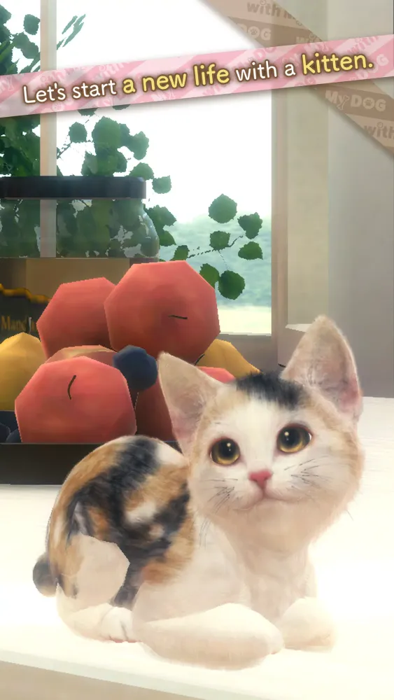 Capturas de pantalla de with My CAT