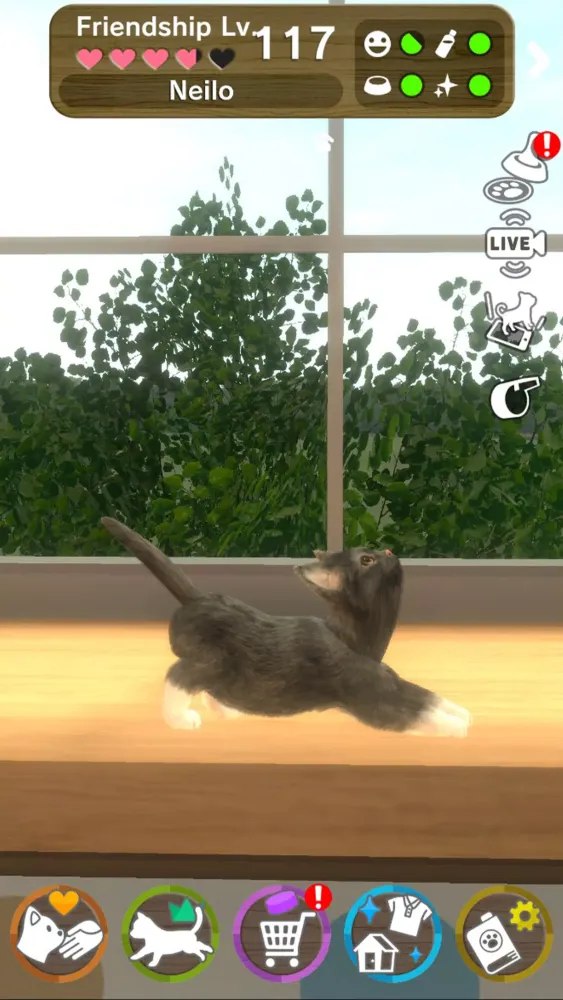 Capturas de pantalla de with My CAT