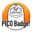 PICO Badge PICO Badge