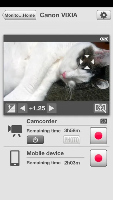 Captures d'écran de CameraAccess plus