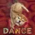 Animal Dance puppies