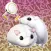 Claw Crane Little Pets