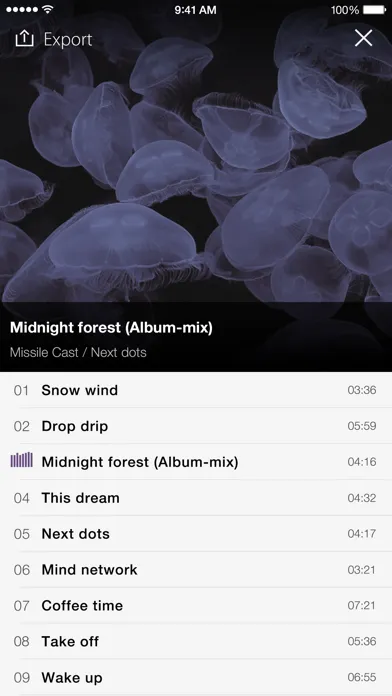 ภาพหน้าจอของ PSOFT Audio Player