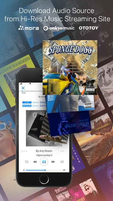 Tangkapan layar Hi-Res music player-NePLAYER