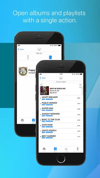 Tangkapan layar Hi-Res music player-NePLAYER