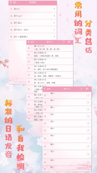 Tangkapan layar 极速日语N2