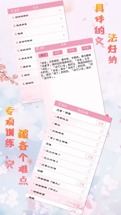 Tangkapan layar 极速日语N2