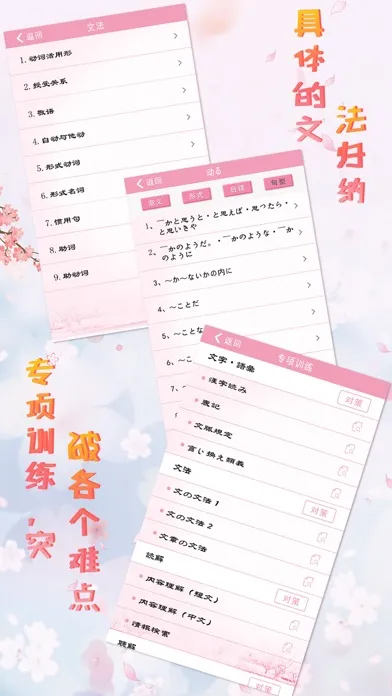 Tangkapan skrin 极速日语N3