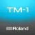 TM-1 Editor