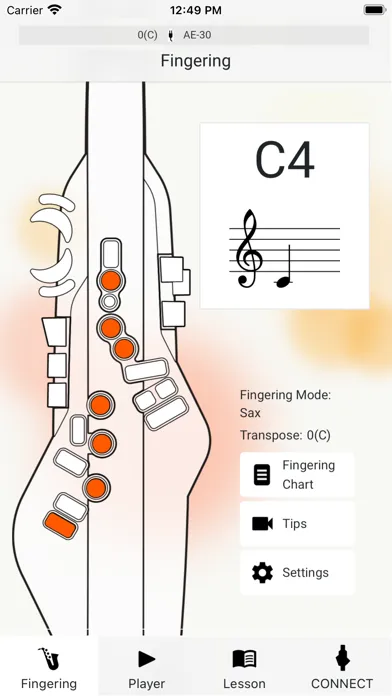 Captures d'écran de Aerophone Lesson