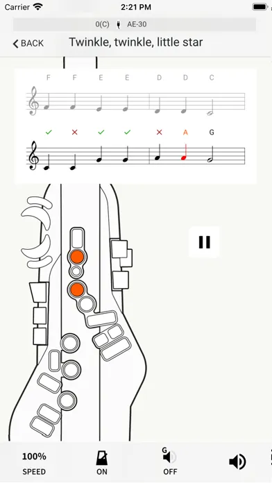 Captures d'écran de Aerophone Lesson