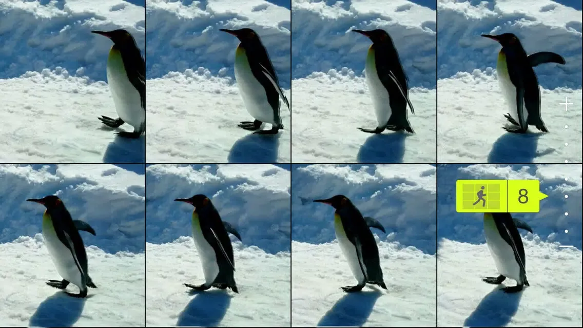 Motion Shot Screenshots