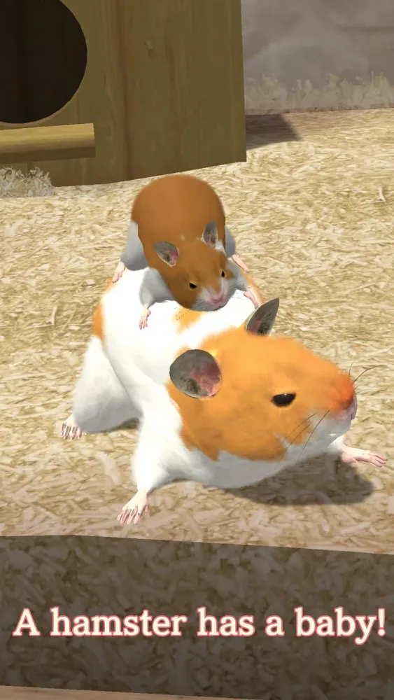 Capturas de tela do Namaham