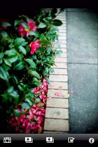 Скриншоты ColorTaste with TOY LENS