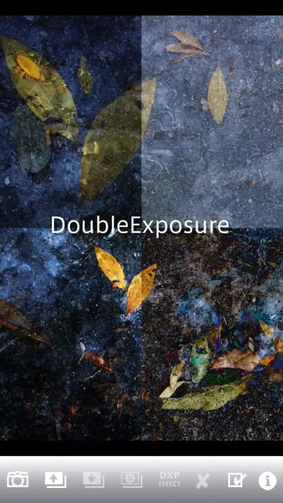 Captures d'écran de DXP