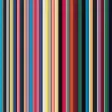 StripeCam