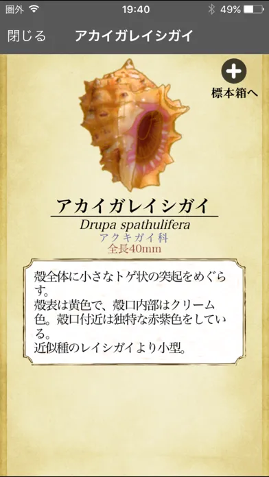 ザ・図鑑 貝殻100種 Ekran Görüntüleri