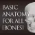 basic anatomy for all [bones]